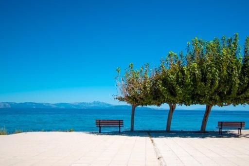 Lavish & Spacious Apt With Stunning Seaview, 10 Min Ath Airport Artemida  Eksteriør billede